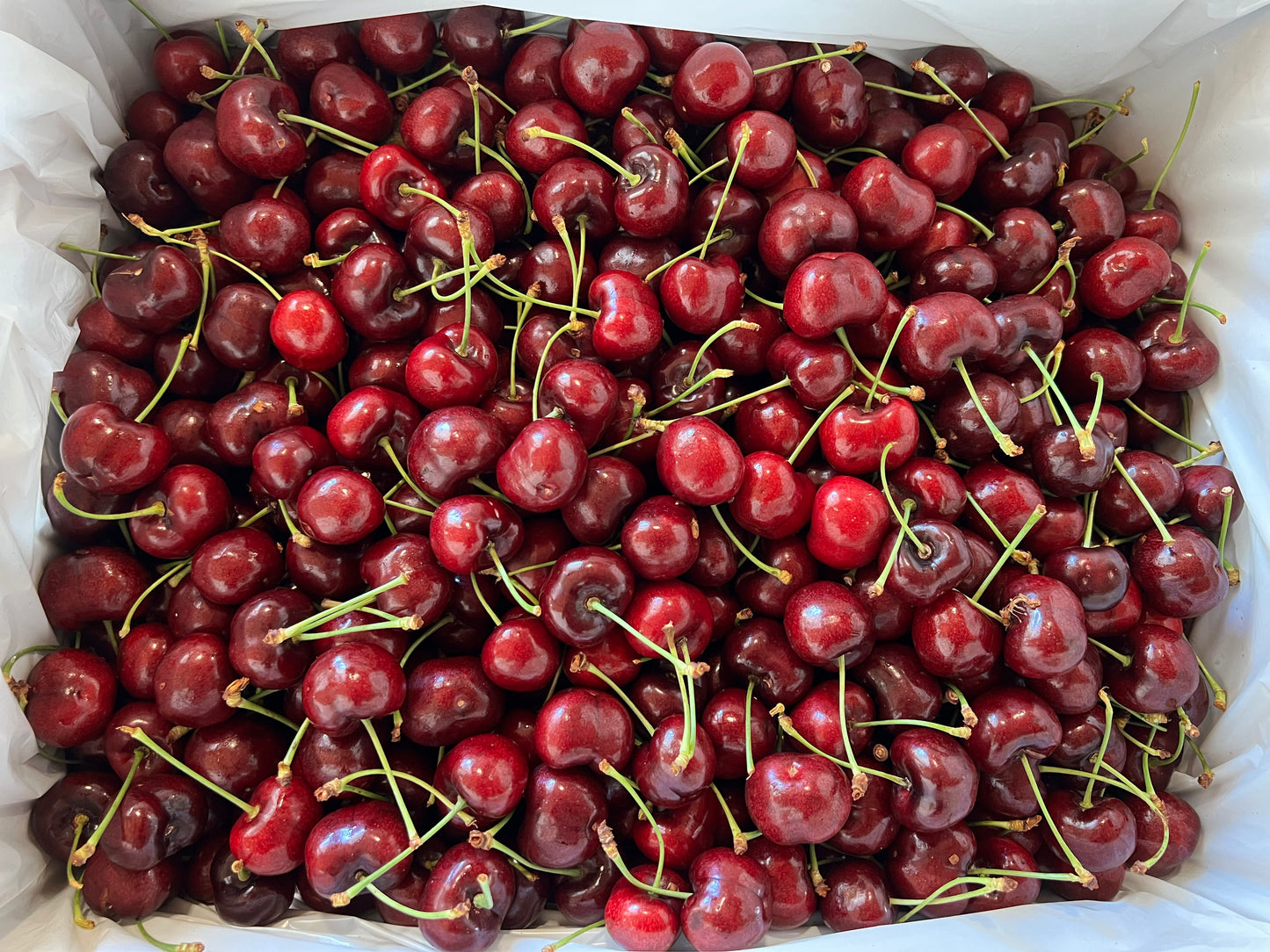 Skeena Cherries