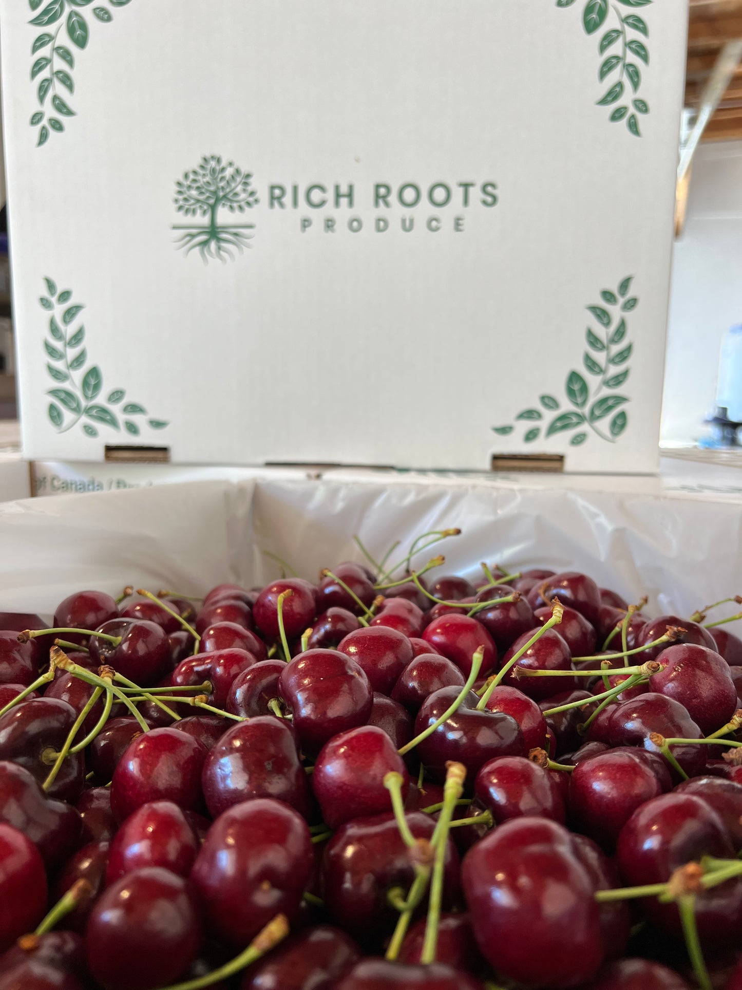 Skeena Cherries