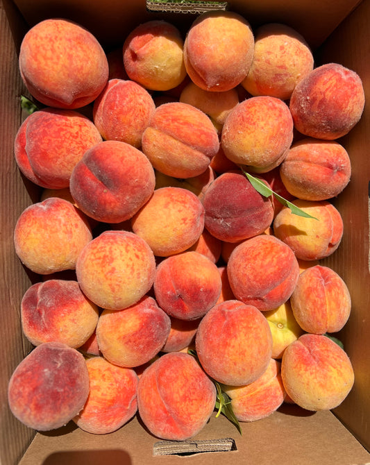 Redhaven Peaches