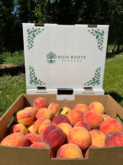 Redhaven Peaches